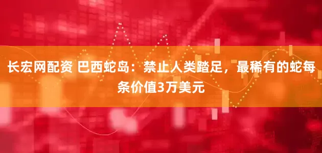 长宏网配资 巴西蛇岛：禁止人类踏足，最稀有的蛇每条价值3万美元