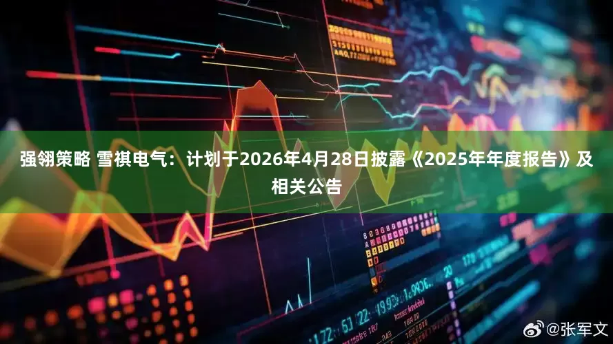 强翎策略 雪祺电气：计划于2026年4月28日披露《2025年年度报告》及相关公告